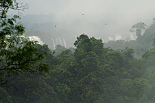 Foz do Iguaçu - Chutes d